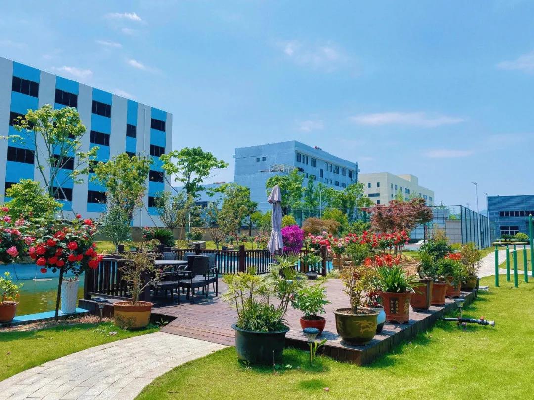 風(fēng)景這邊獨(dú)好！東大環(huán)境美景一覽，請(qǐng)查收