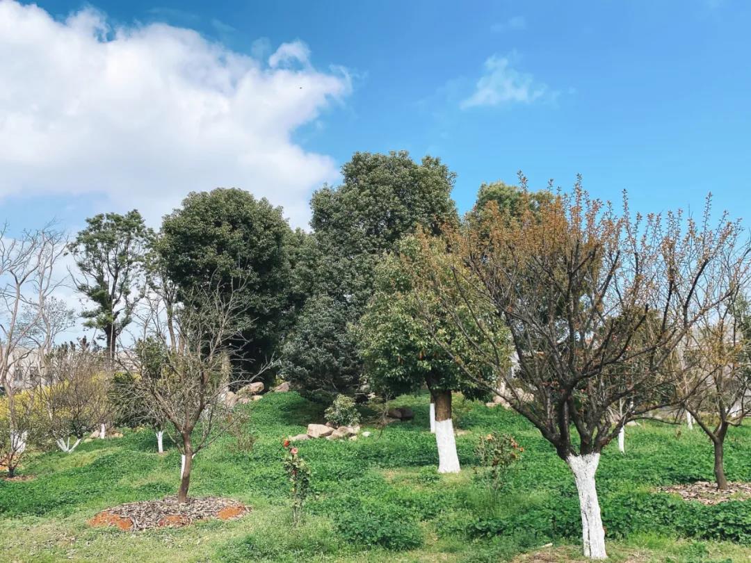 風(fēng)景這邊獨(dú)好！東大環(huán)境美景一覽，請(qǐng)查收